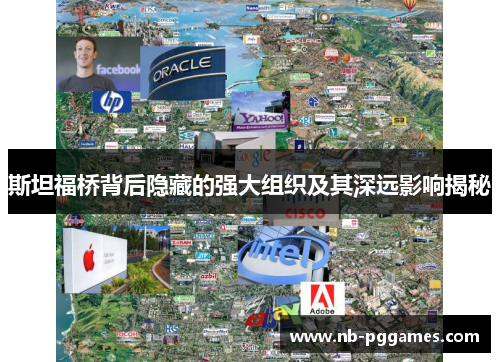斯坦福桥背后隐藏的强大组织及其深远影响揭秘